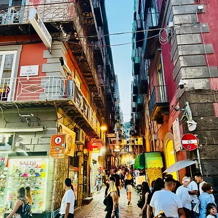 Venustas Toledo * Naples